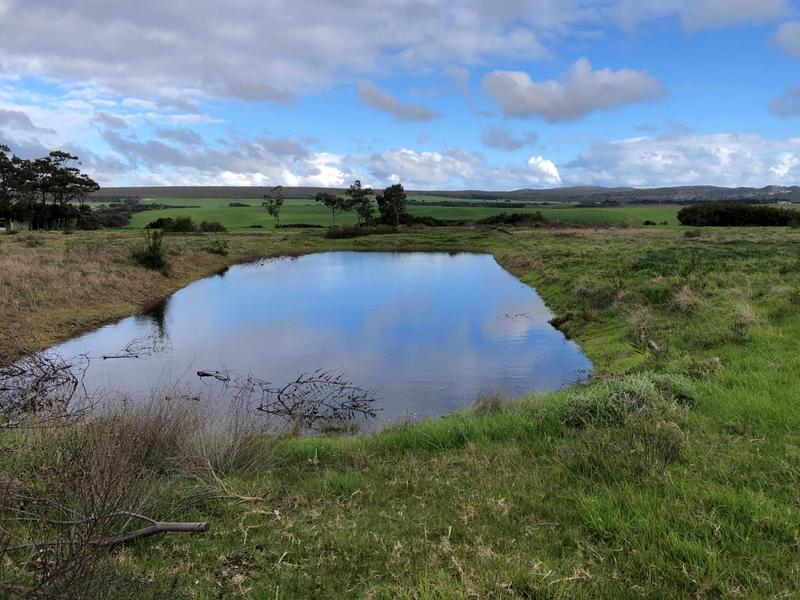 0 Bedroom Property for Sale in Baardskeerdersbos Western Cape